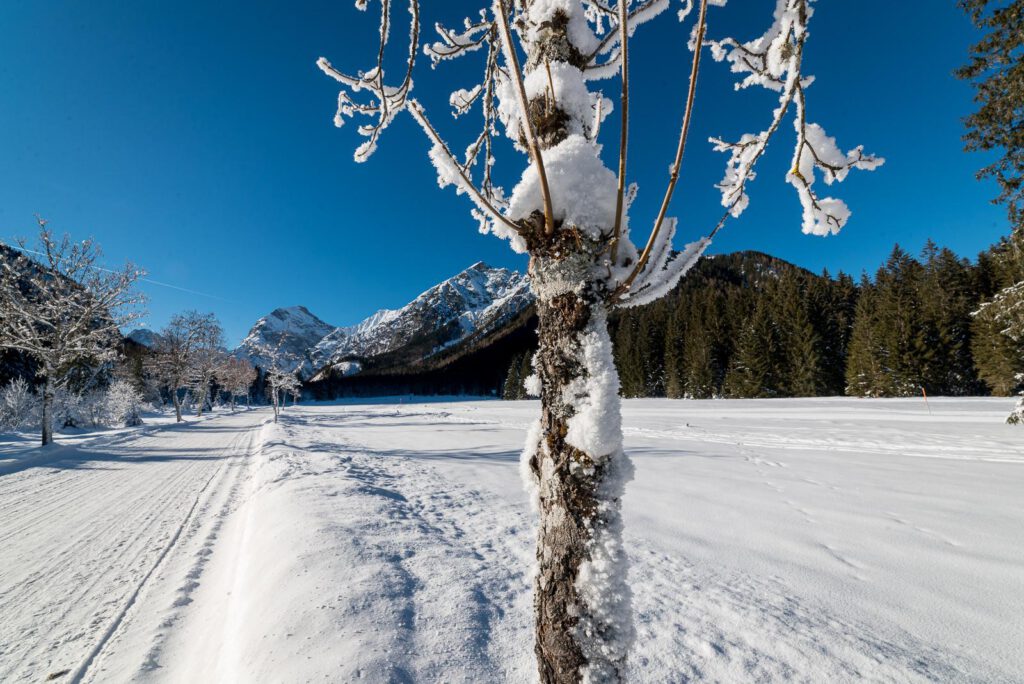 Apartment 17 Zillertal