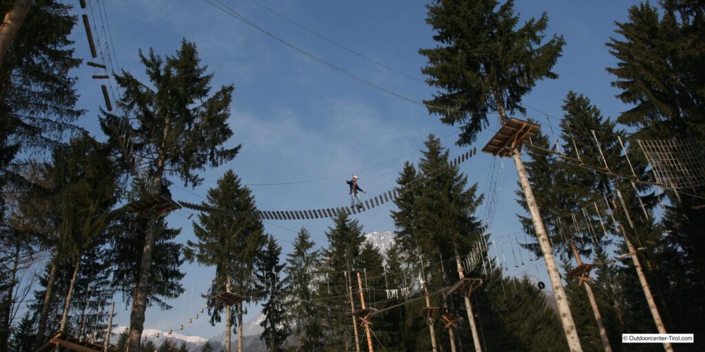 Der Hochseilgarten mit einem Steg in luftiger Höhe zwischen den Bäumen